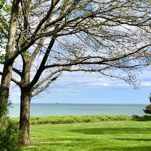 Meet your Posher, Marielle